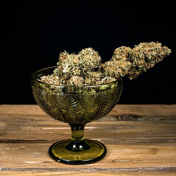 Royal Queen Seeds Green Gelato Automatic Feminisiert Autoflower
