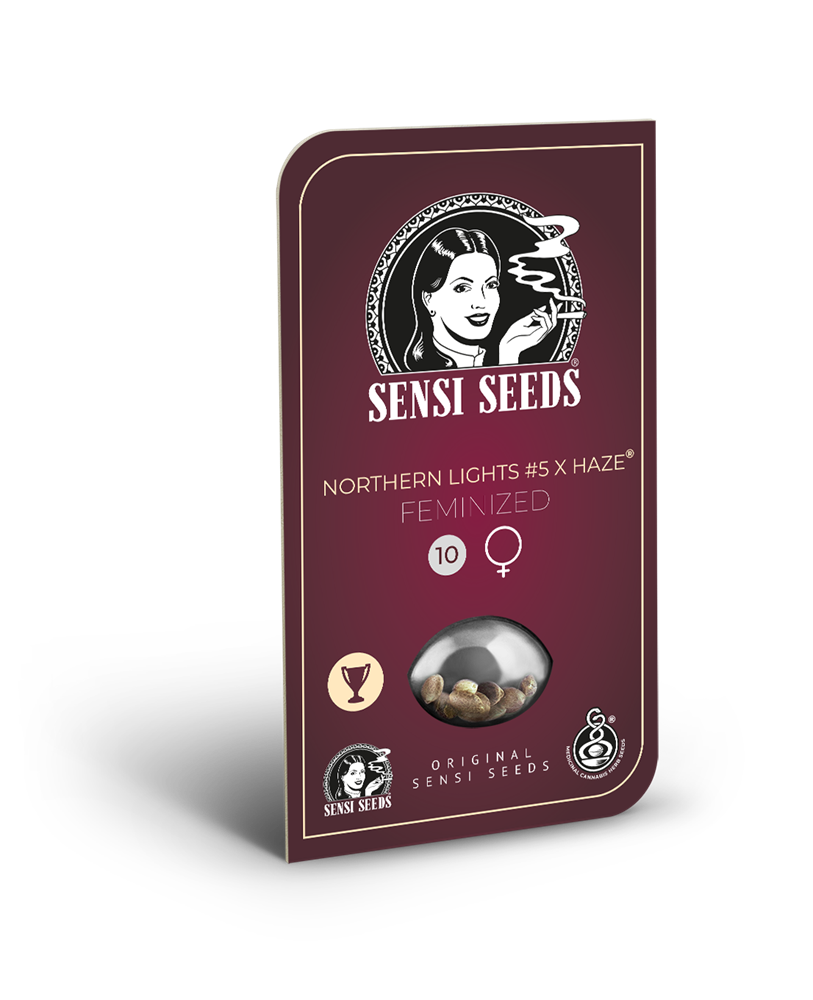 Sensi Seeds Northern Light #5 x Haze feminisiert