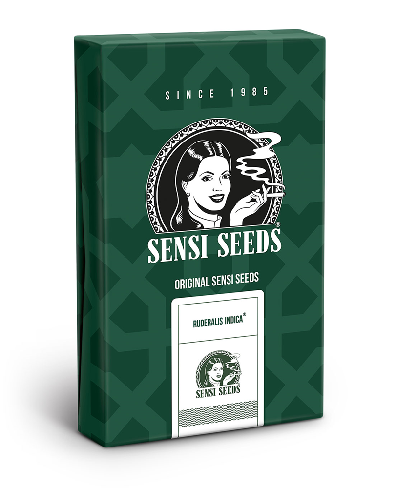 Sensi Seeds Ruderalis Indica Regular
