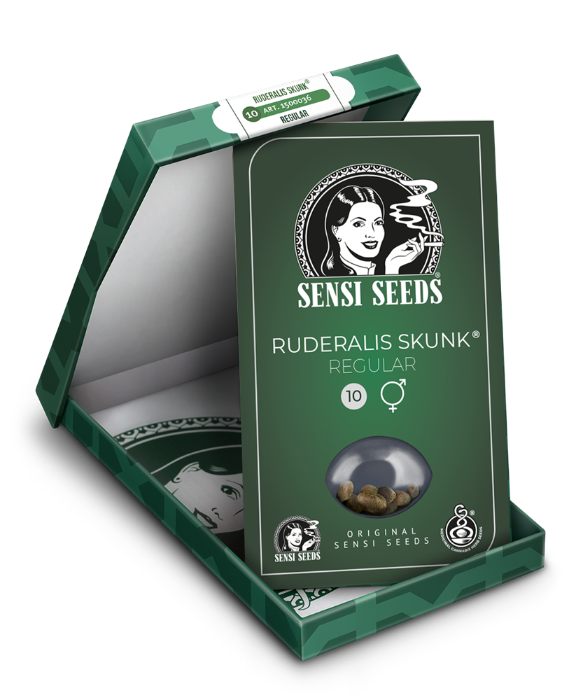 Sensi Seeds Ruderalis Skunk Regular