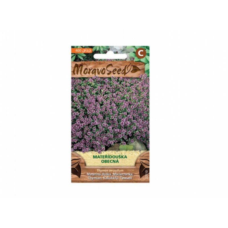 Thymus serpyllum - Thymus serpyllum