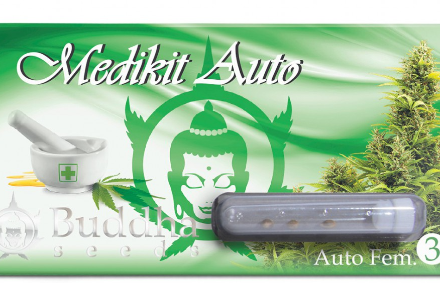 Buddha Seeds Medikit Autoflowering Feminisierter Autoflower