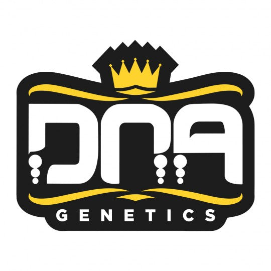 DNA Genetics