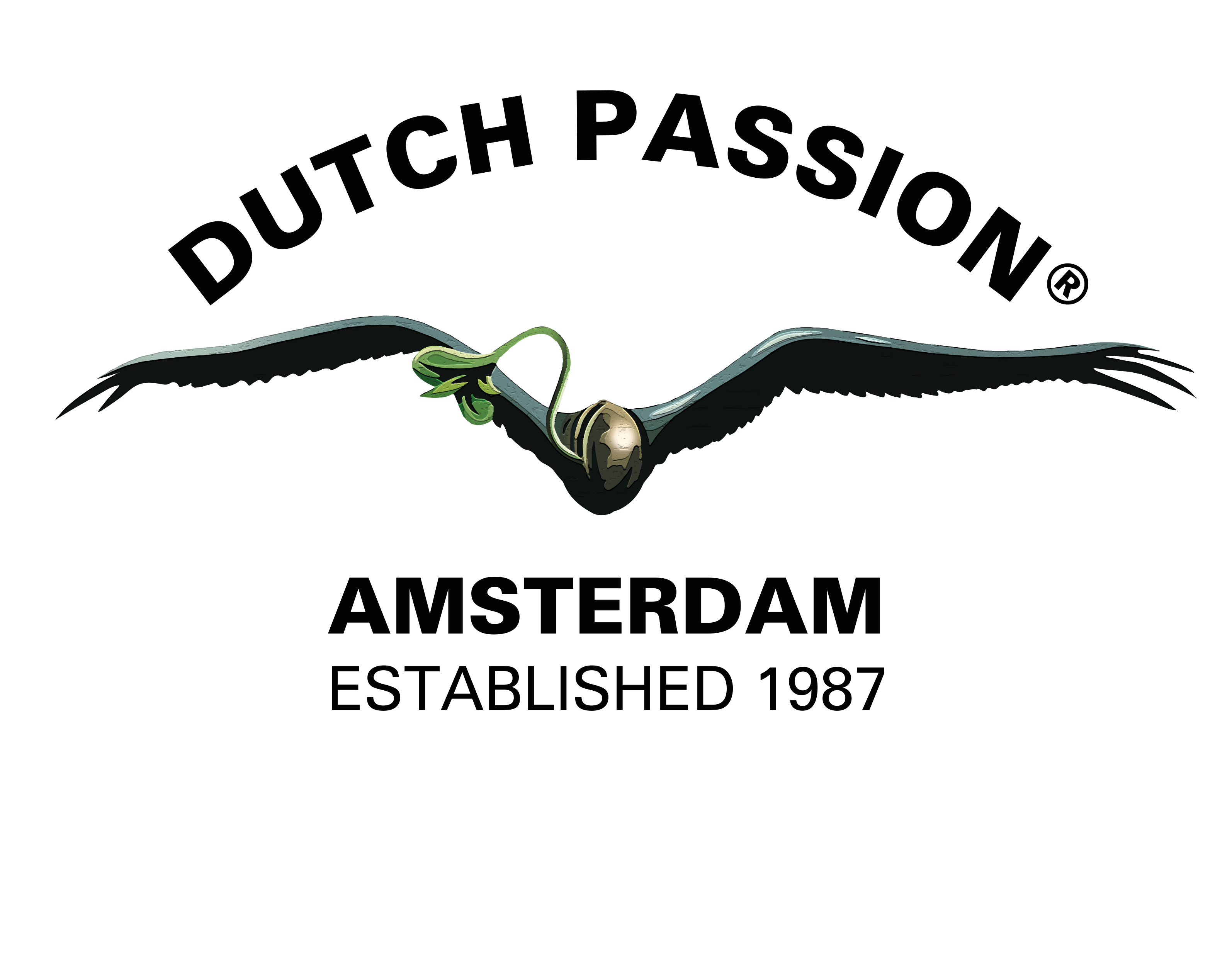 Dutch Passion