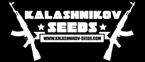 Kalashnikov Seeds