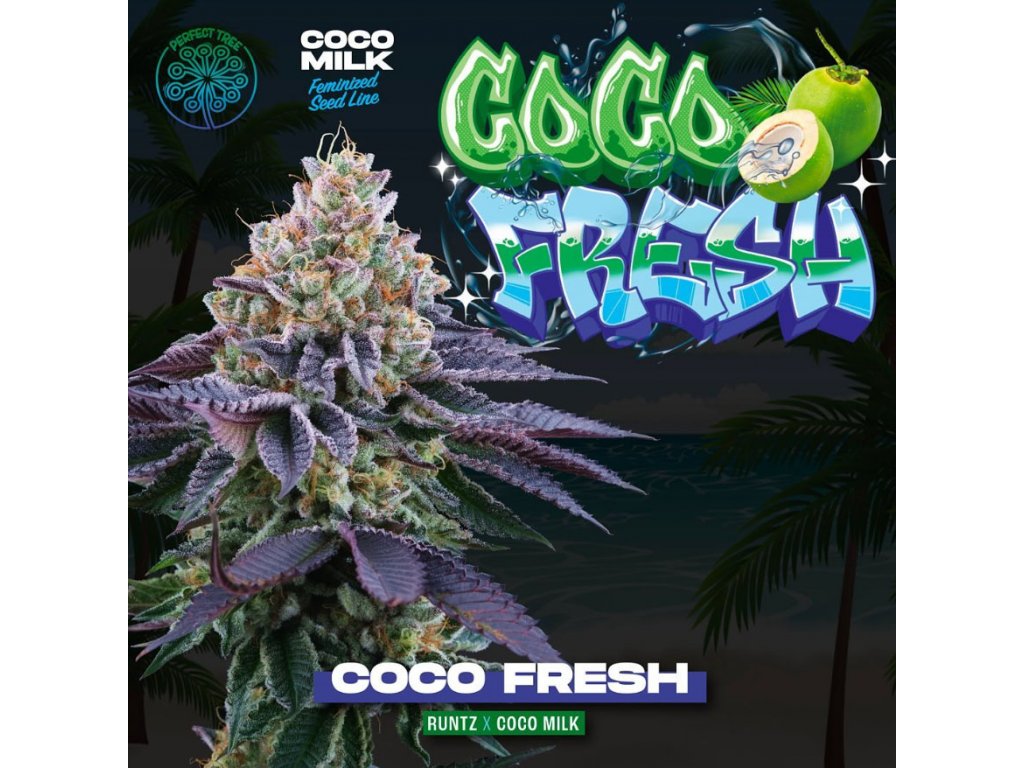 Perfect Tree Seeds, Coco Fresh, Feminisiert, 6 Stk