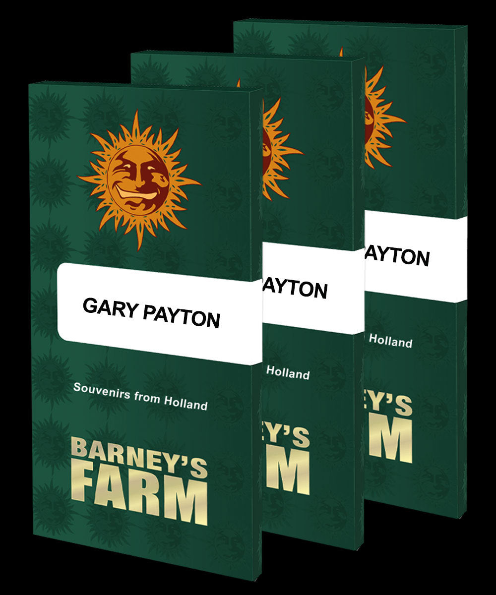 Barney's Farm Gary Payton, Feminisiert, 3 Stk