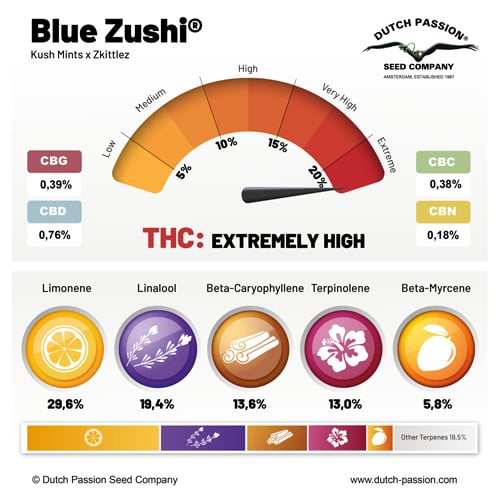 Dutch Passion Blue Zushi, Feminisiert, 3 Stk
