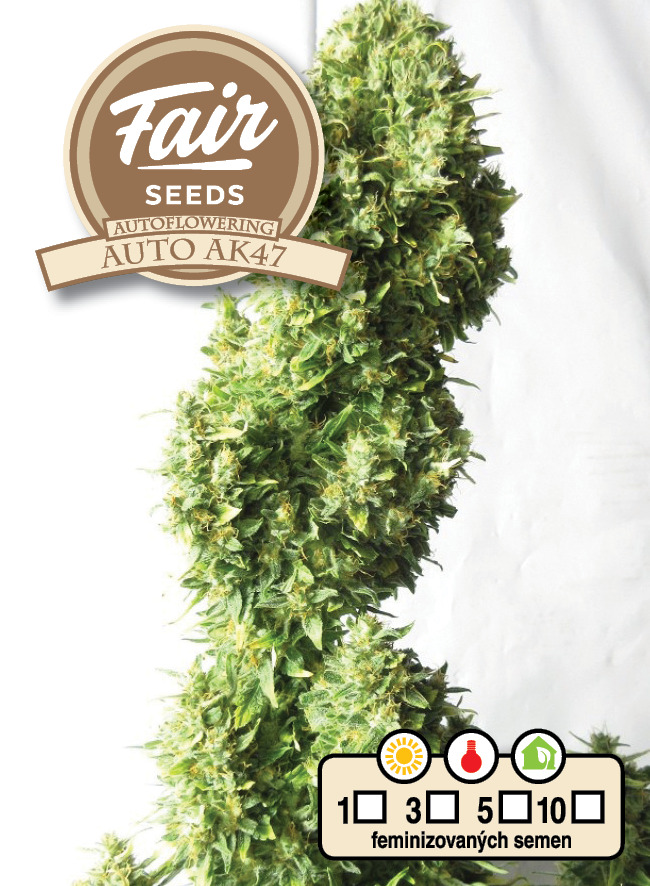 Fair Seeds Auto AK47 Feminisierte Autoflower