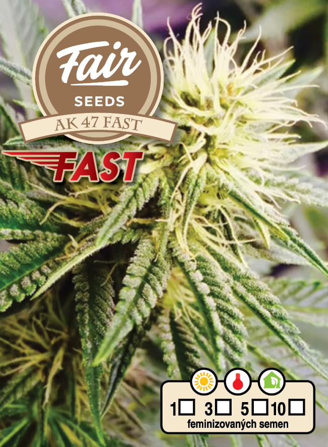 Fair Seeds AK 47 Schnell, feminisiert schnell