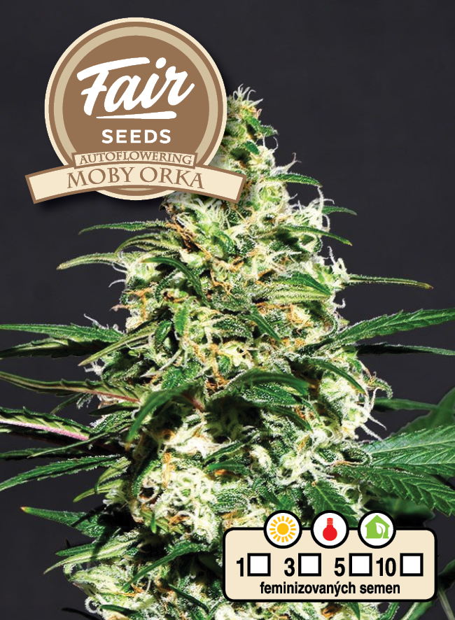 Fair Seeds Auto Moby Orka Feminisierte Autoflower