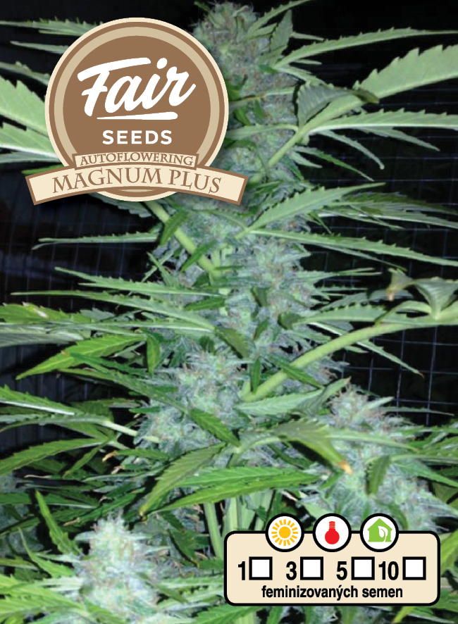 Fair Seeds Auto Magnum Plus Feminisierte Autoflower