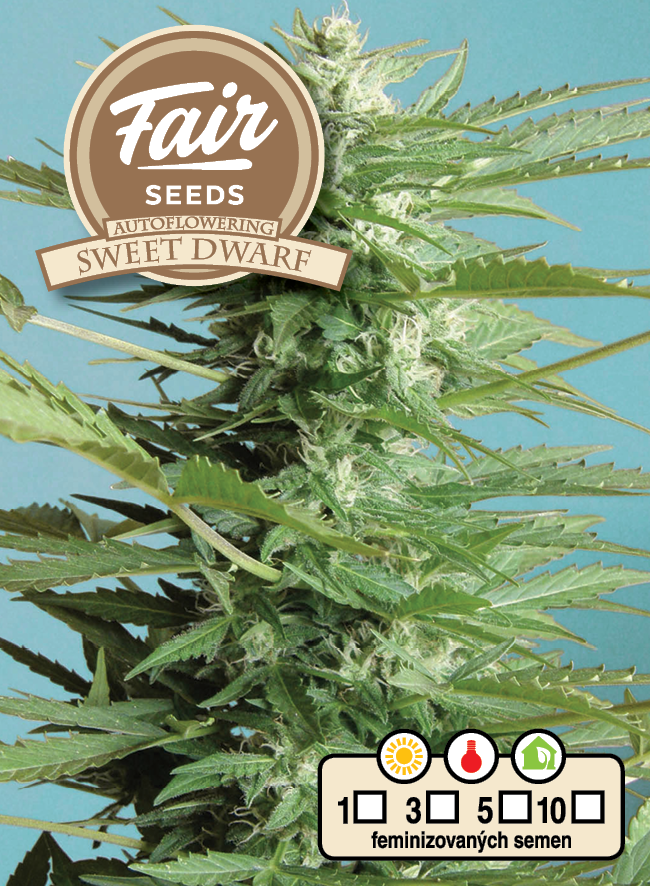 Fair Seeds Auto Sweet Dwarf Feminisierte Autoflower