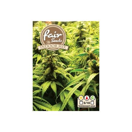 Fair Seeds Indoor-Mix feminisiert