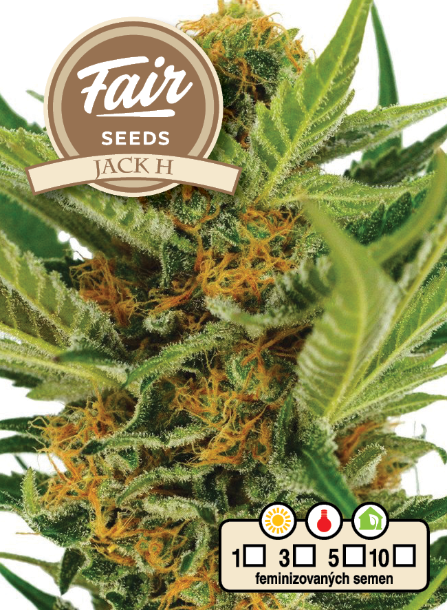 Fair Seeds Jack H feminisiert