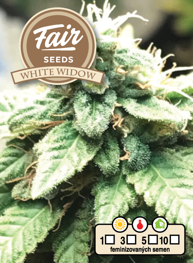 Fair Seeds White Widow feminisiert