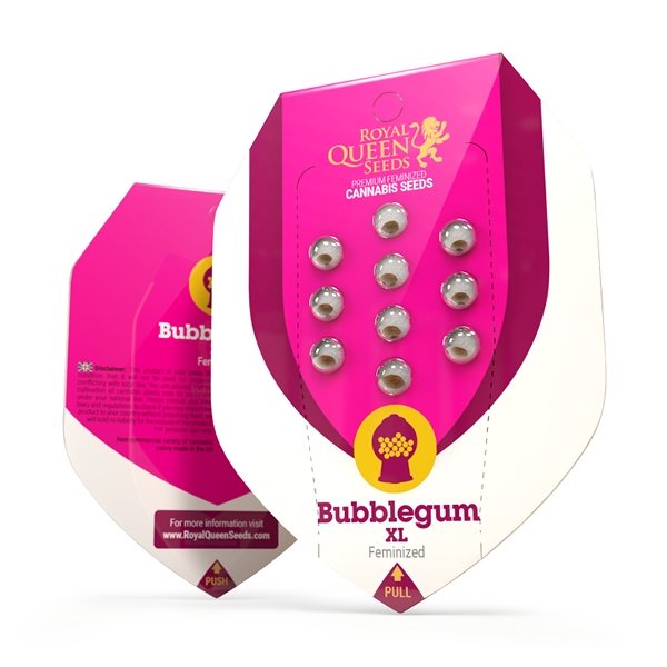 Royal Queen Seeds Bubblegum XL Feminisiert