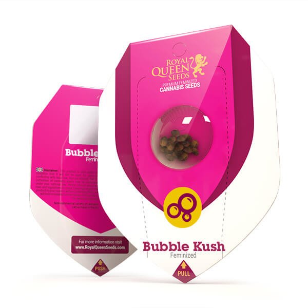 Royal Queen Seeds Bubble Kush Feminisiert