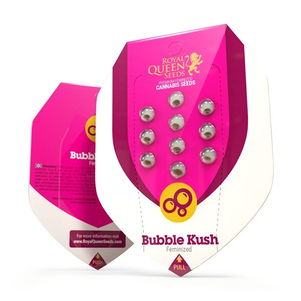 Royal Queen Seeds Bubble Kush Feminisiert