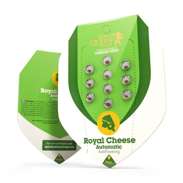 Royal Queen Seeds Royal Cheese Automatic Feminisierte Autoflower