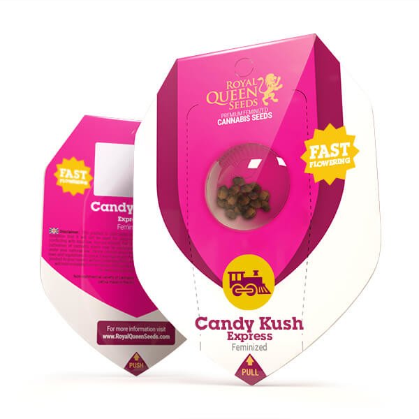 Royal Queen Seeds Candy Kush Express Feminisiert