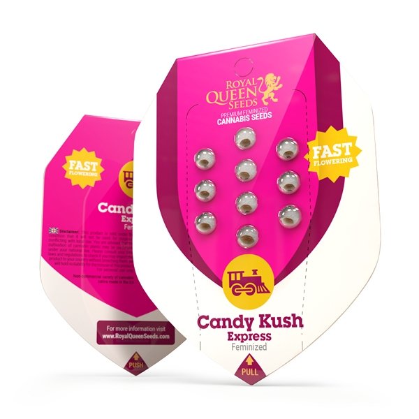 Royal Queen Seeds Candy Kush Express Feminisiert