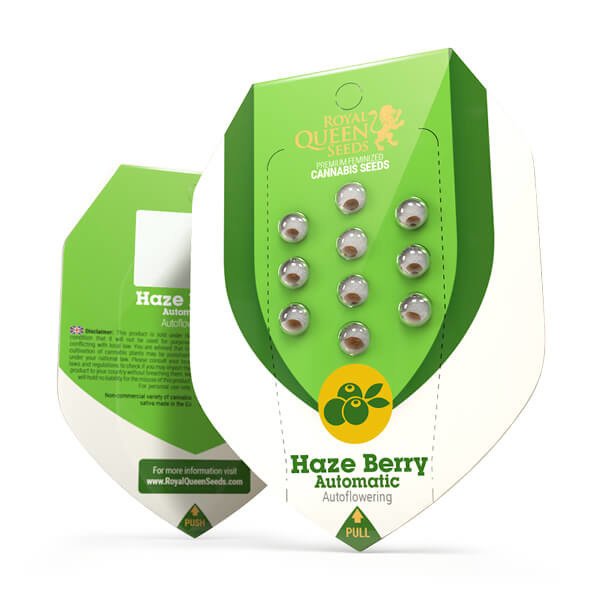 Royal Queen Seeds Haze Berry Automatic Feminisierte Autoflower