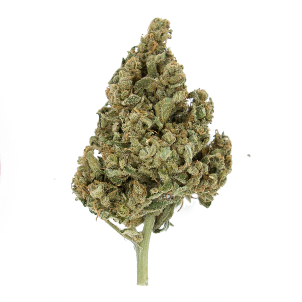 Royal Queen Seeds Lemon Shining Silver Haze Feminisiert