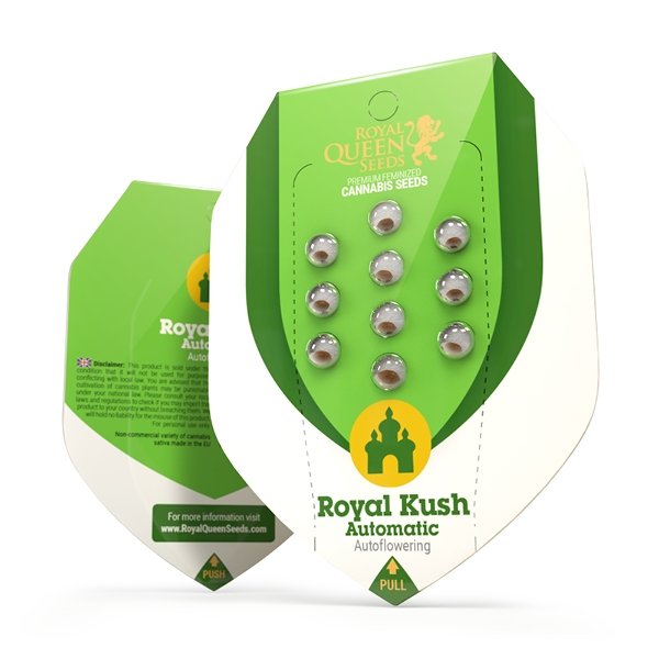 Royal Queen Seeds Royal Kush Automatic Feminisierte Autoflower