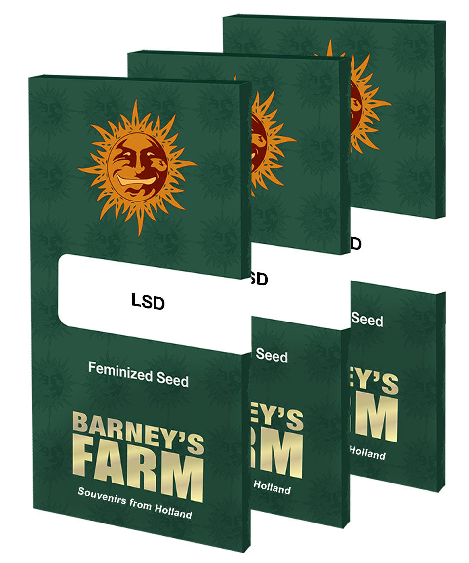 Barney's Farm LSD feminisiert