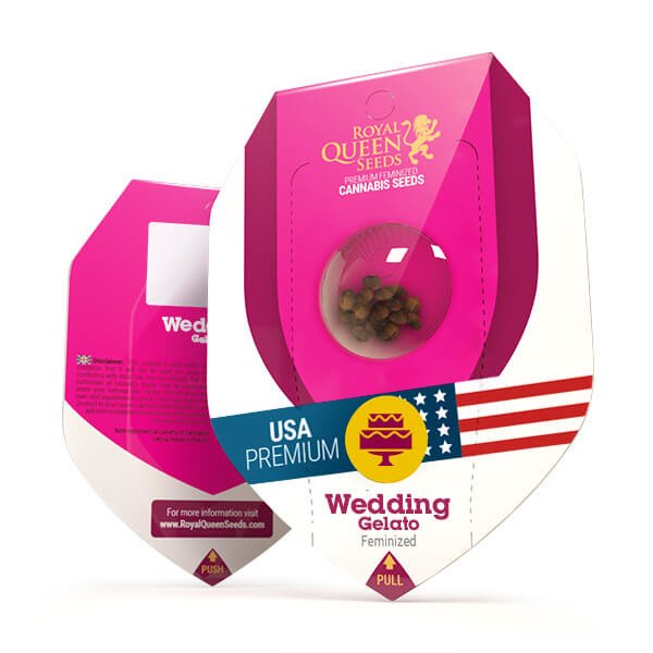 Royal Queen Seeds Wedding Gelato Feminisiert