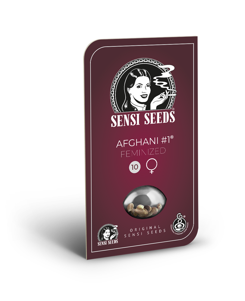 Sensi Seeds Afghani #1 Feminisiert