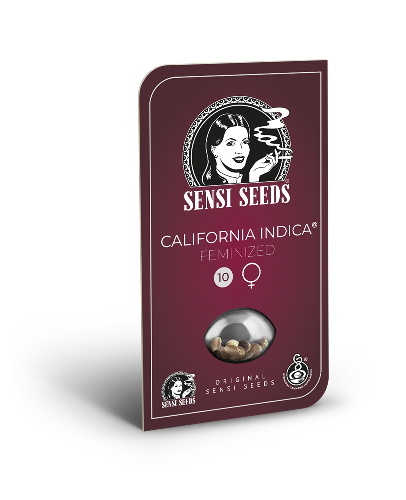 Sensi Seeds California Indica Feminisiert