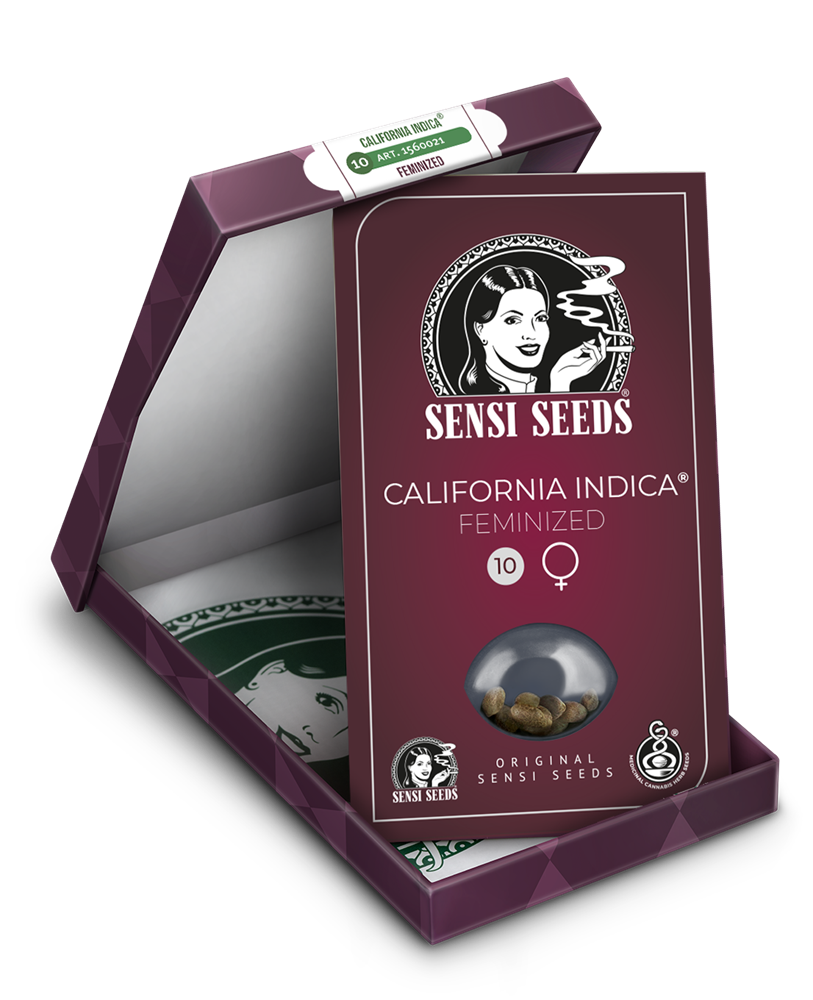 Sensi Seeds California Indica Feminisiert