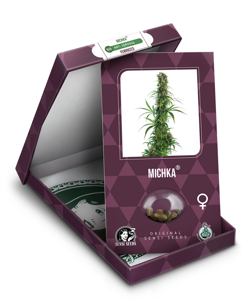 Sensi Seeds Michka Feminisiert