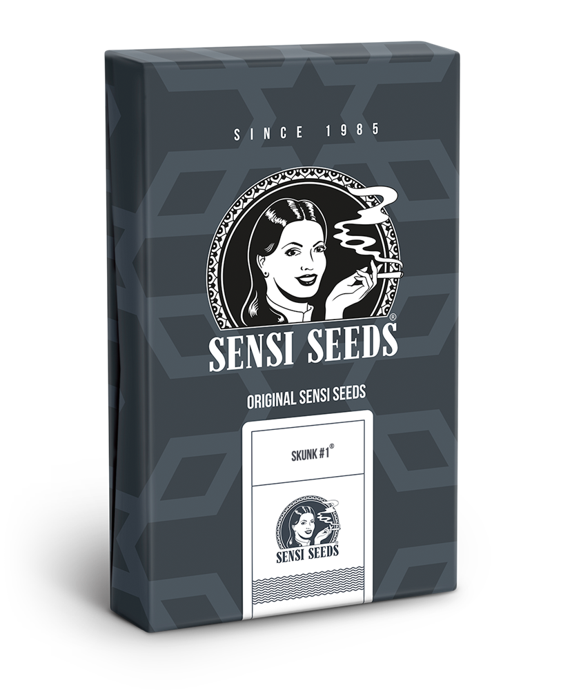 Sensi Seeds Skunk 1 Autoflowering Feminisierte Autoflower