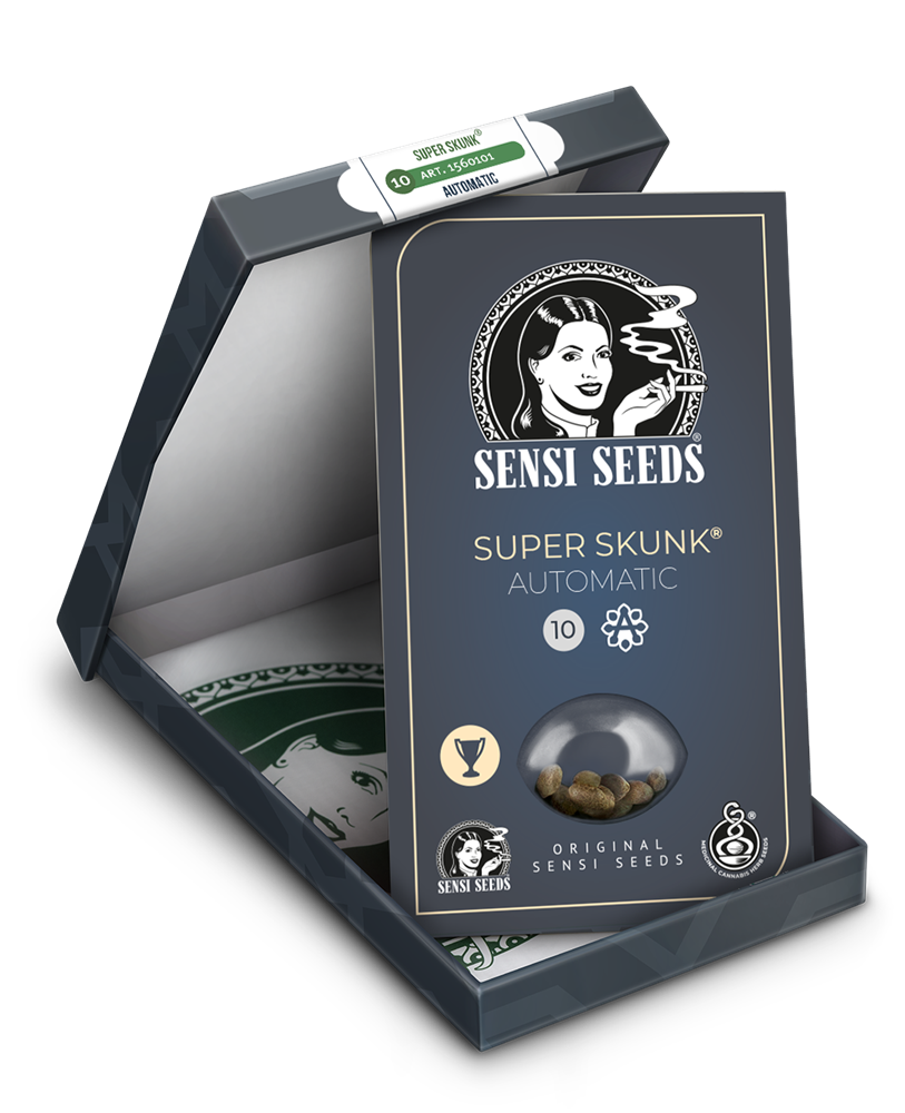 Sensi Seeds Super Skunk Autoflowering Feminisierte Autoflower