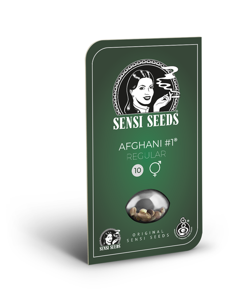 Sensi Seeds Afghani #1 Regulär