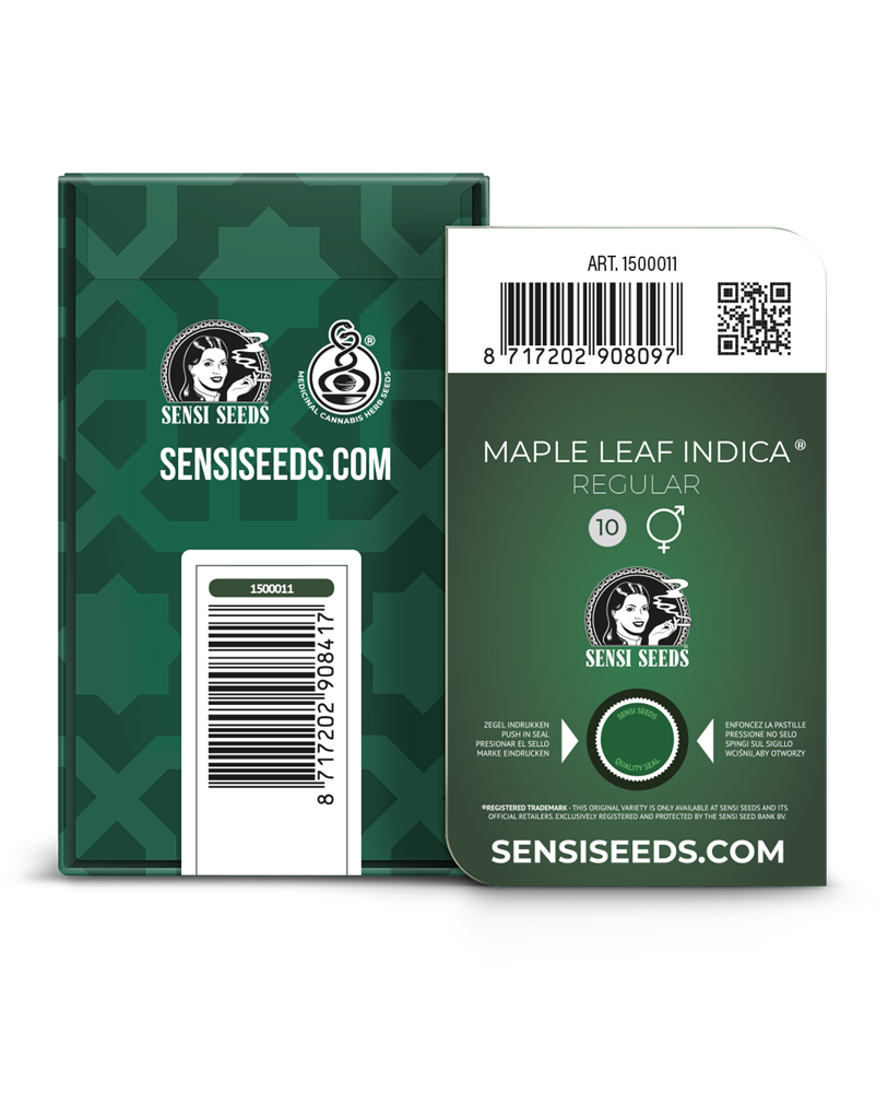 Sensi Seeds Maple Leaf Indica Regular