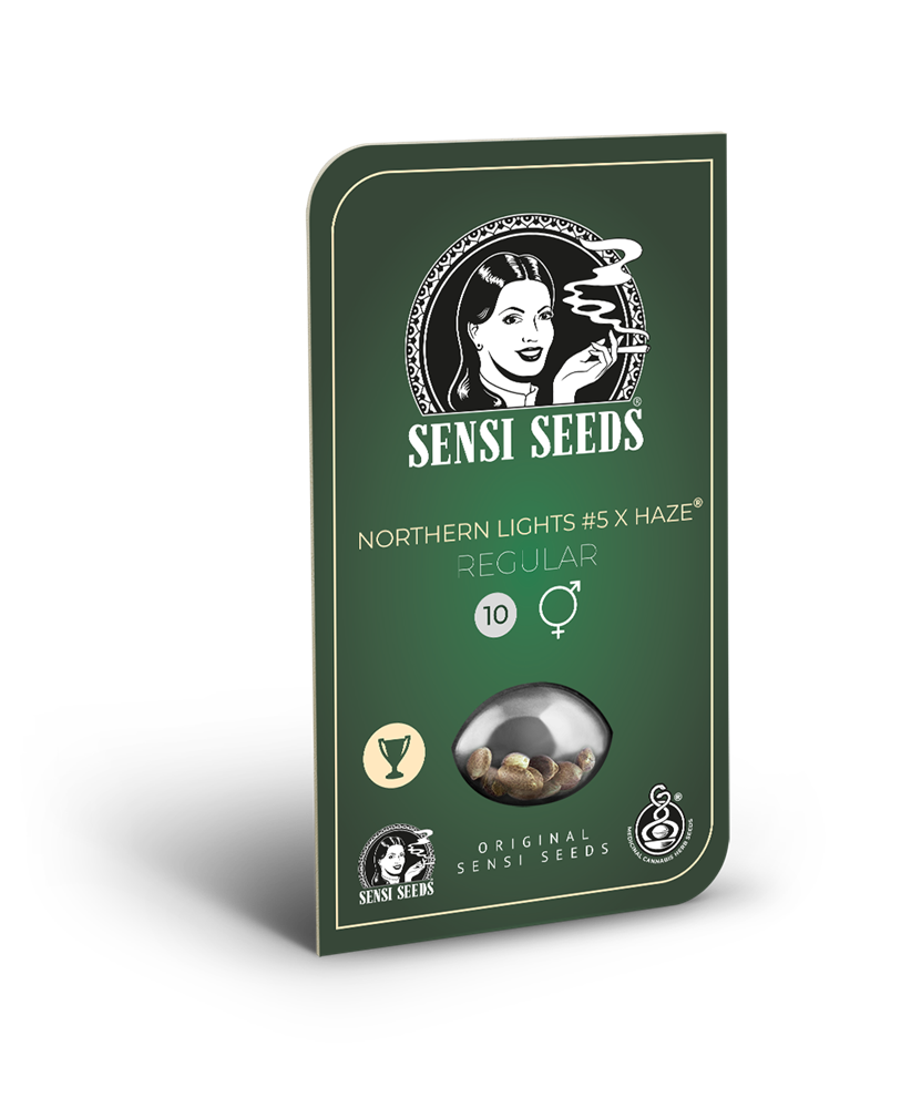 Sensi Seeds Northern Light #5 x Haze Regular
