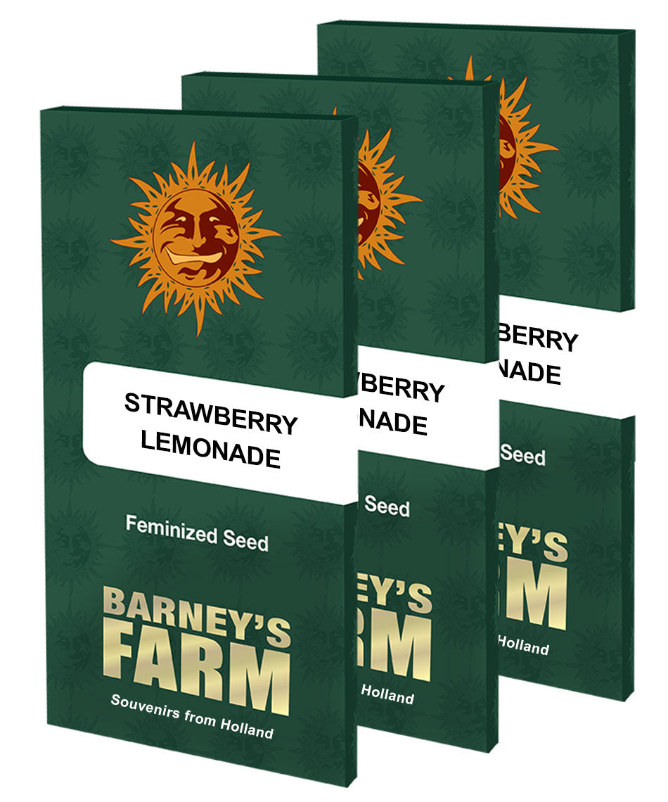 Barney's Farm Strawberry Lemonade Feminisiert