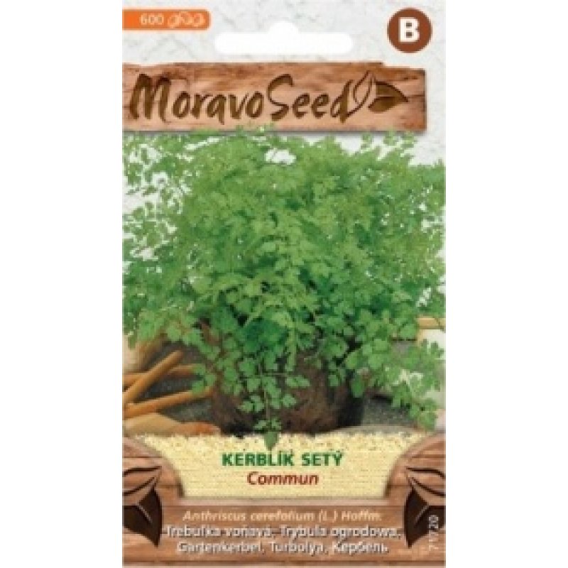 Anthriscus cerefolium (L.) Hoffm.