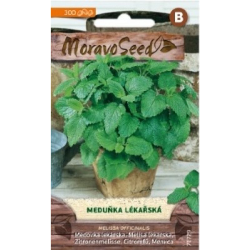 Zitronenmelisse - Melissa officinalis