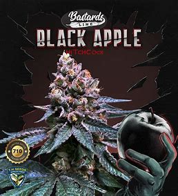 TH Seeds 710 Limited Pack Black Apple Hitchcock, Feminisiert, 7 Stk