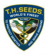 TH Seeds Limited Regular Edition La SAGE Cake, Regular, 11 Stück