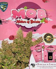 TH Seeds MOB Cake, Regular, 11 Stk