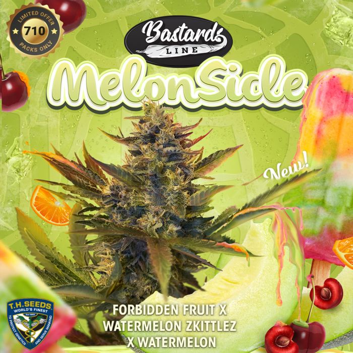 TH Seeds 710 Limited Pack Melonsicle, Feminisiert, 5 Stk