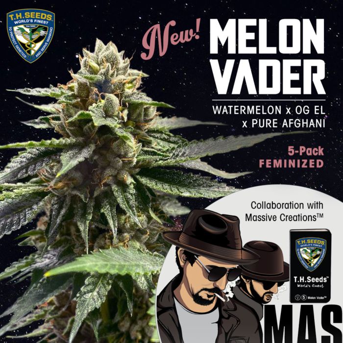 TH Seeds Melon Vader, Feminisiert, 5 Stk