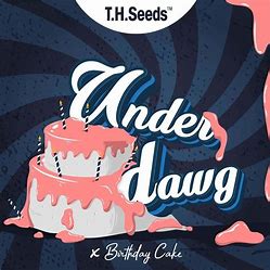 TH Seeds Limited Regular Edition Underdawg Cake, Regular, 11 Stück