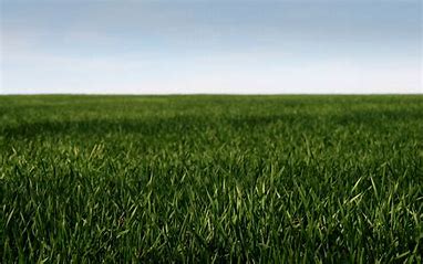 Zahrada 350g – Parkgrasmischung